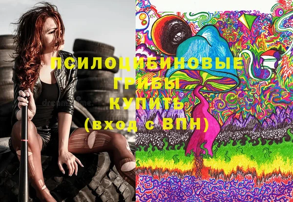 стафф Абаза